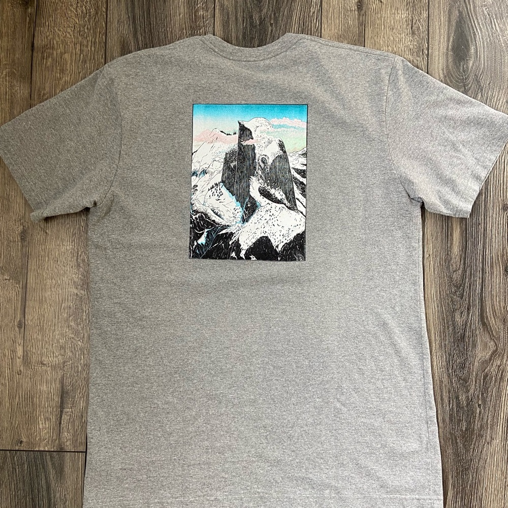 Patagonia Gray Graphic Men's T-Shirt